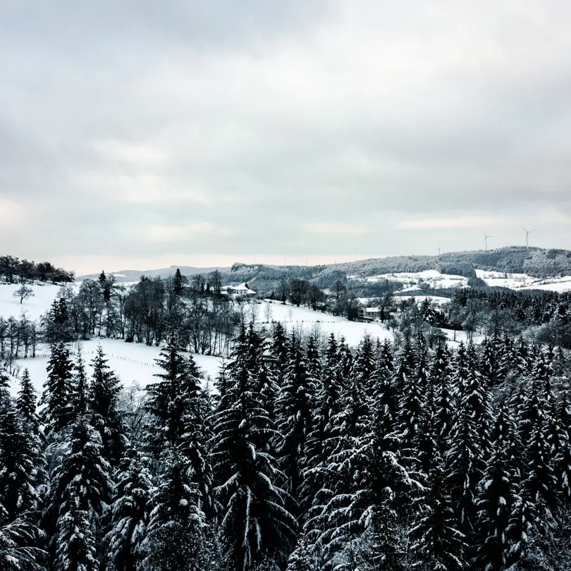 Saint-Nicolas-des-Biefs