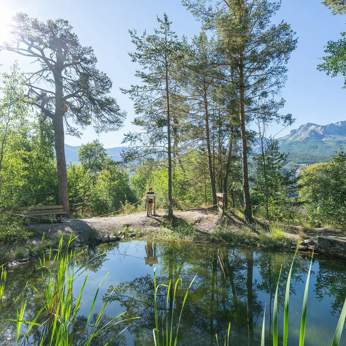 Halte 2 de la Promenade du Verger : La mare