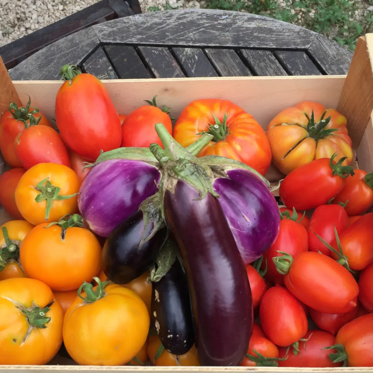 Le Cabanon de San Peyre