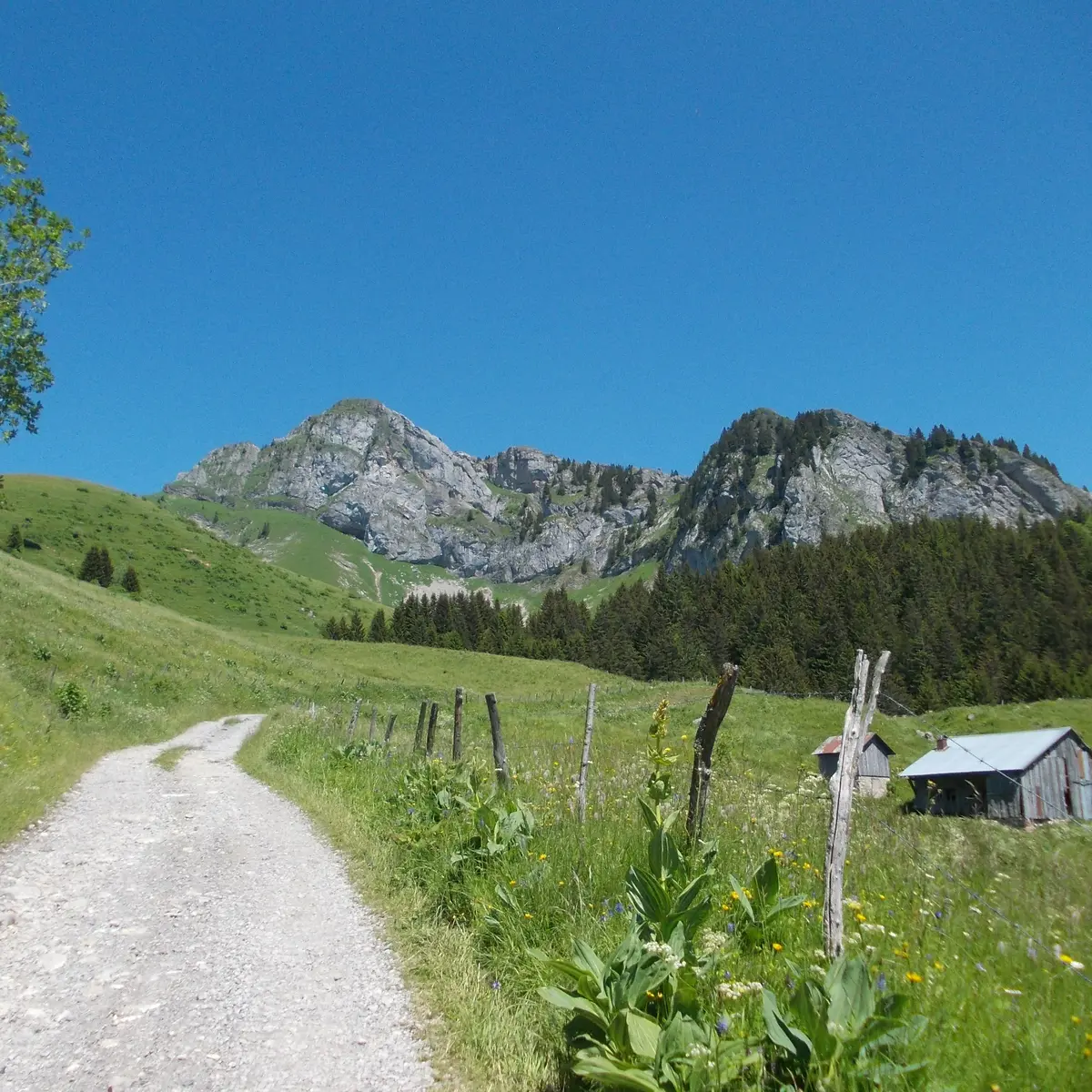 La Charmette
