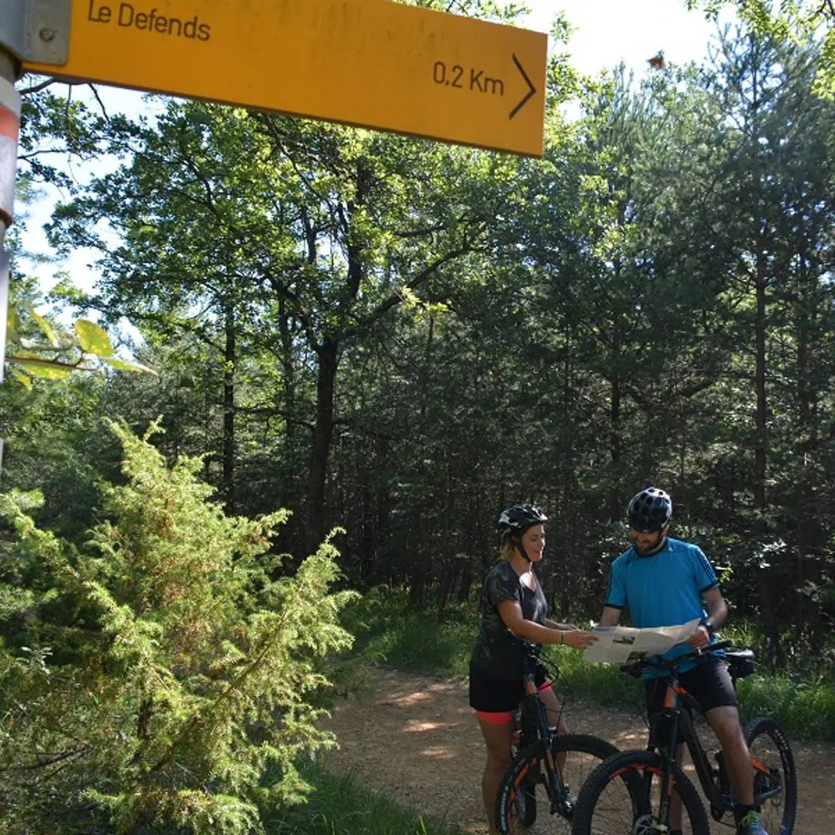 Le Bois du Défends à VTT