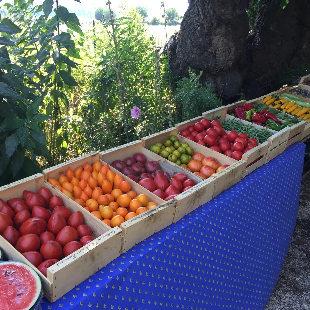 Le Cabanon de San Peyre