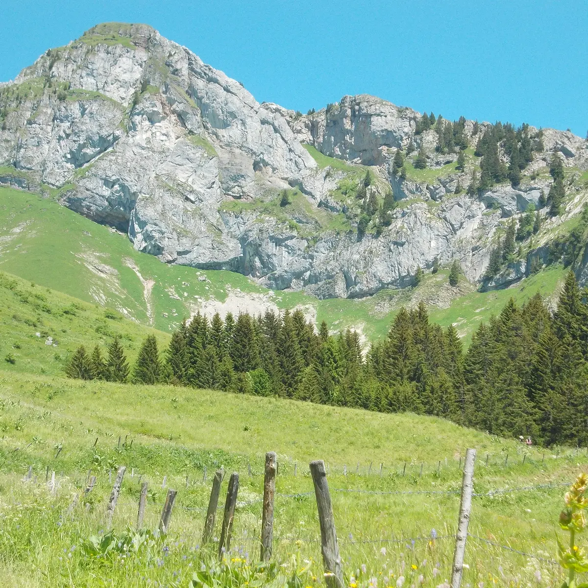La Charmette