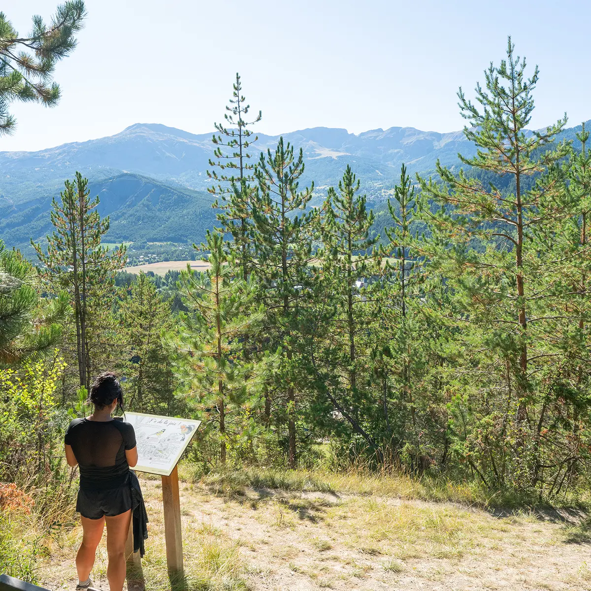 Halte 4 de la Promenade du Verger : Les oiseaux