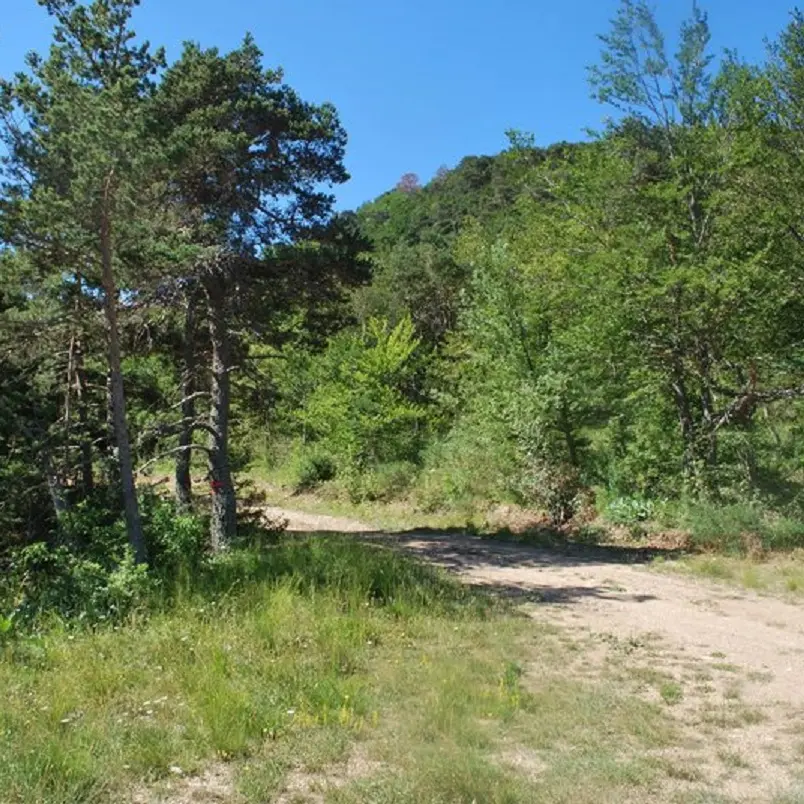 Direction Col des Tourrettes