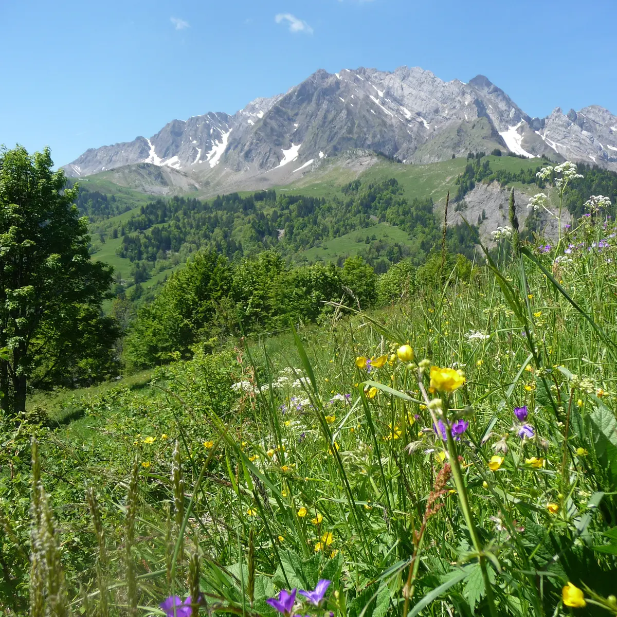 photo-prestataire