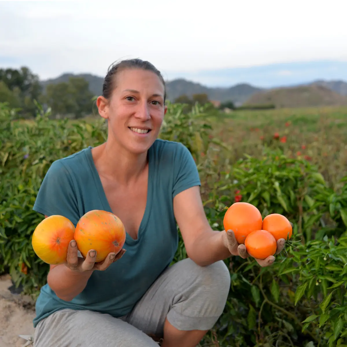 Le Cabanon de San Peyre