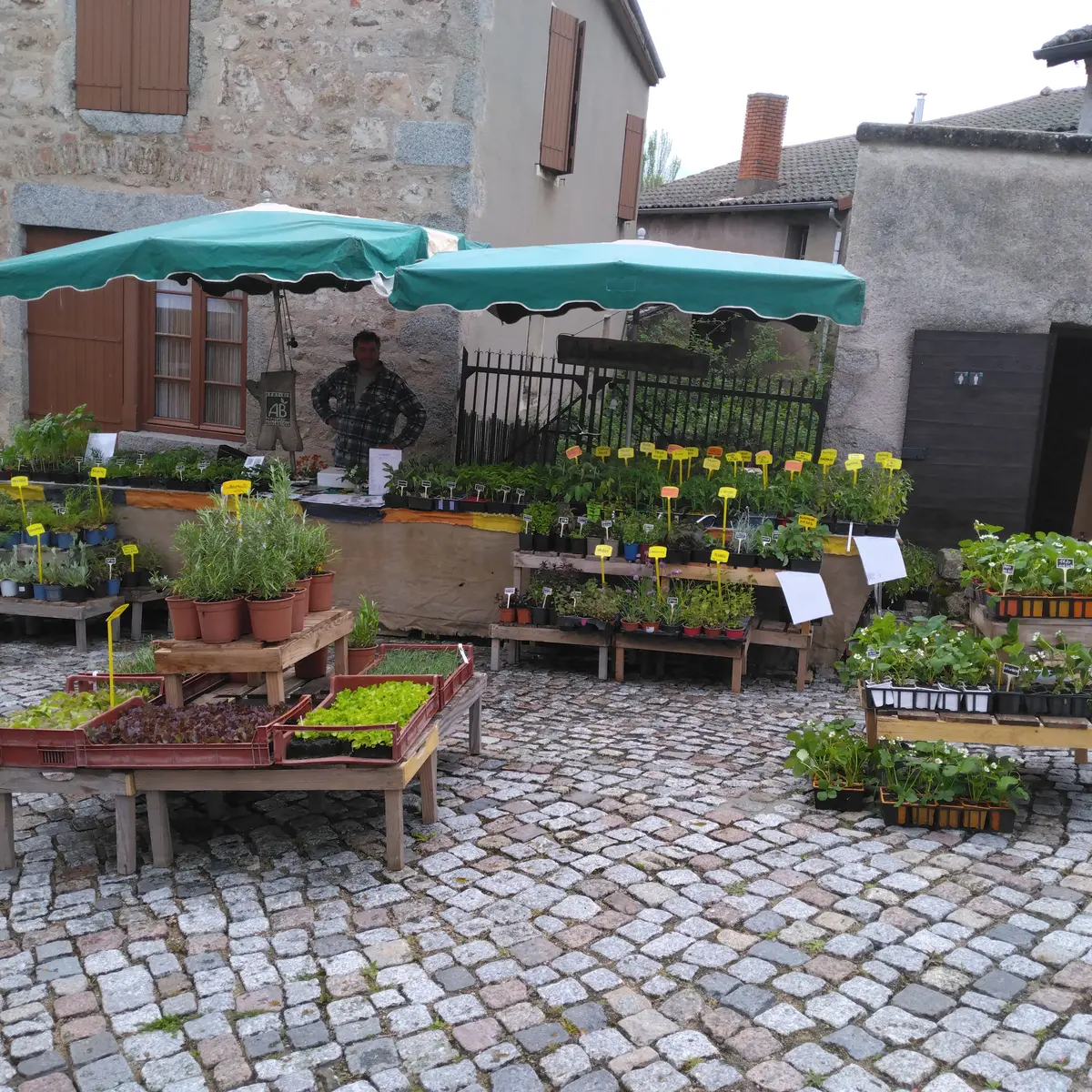 marche aux plants du crozet