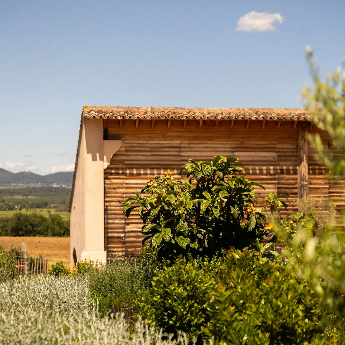 Château La Tour de l'Evêque à Pierrefeu du Var