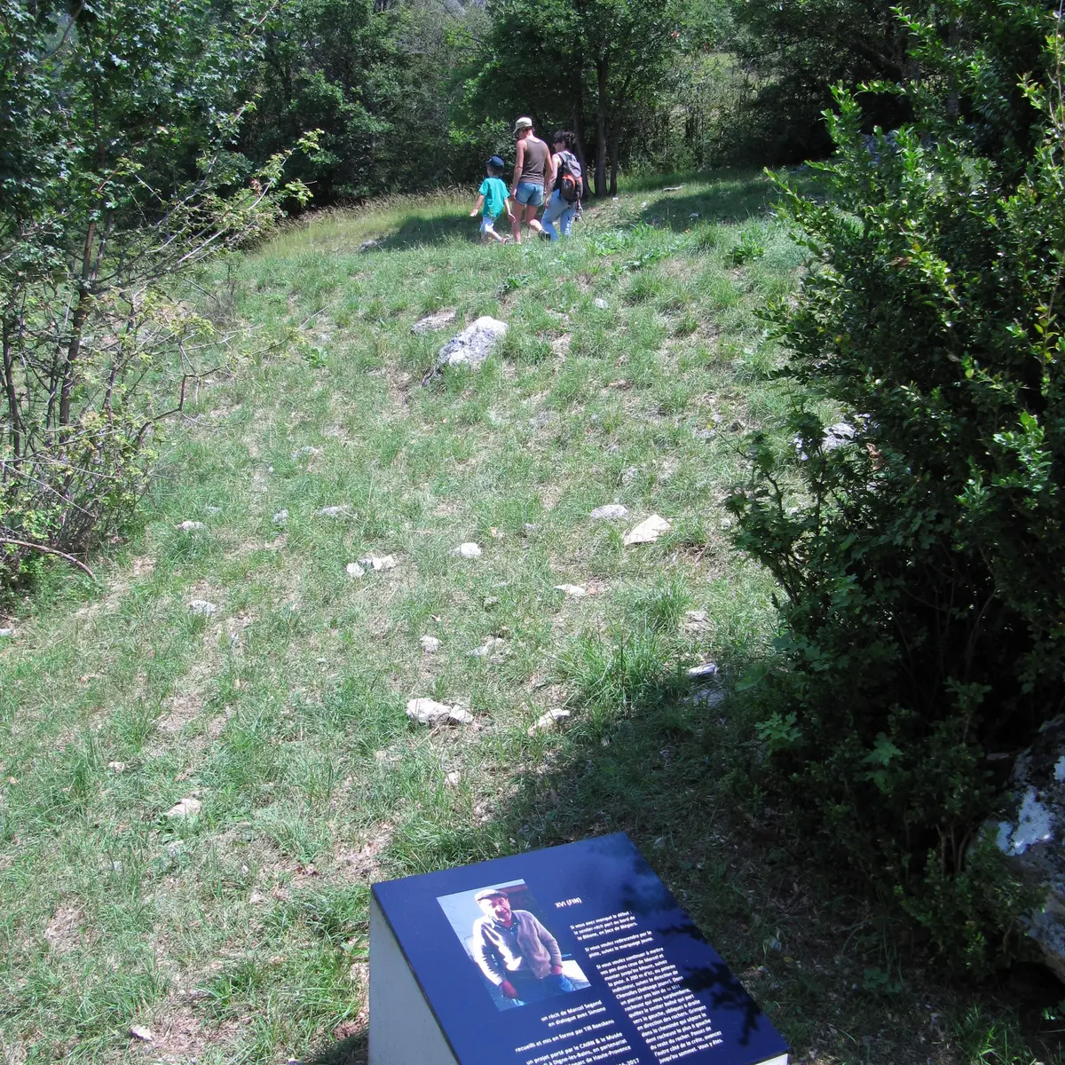 Till Roeskens, Sentier Marcel, 2017, Collection musée Gassendi