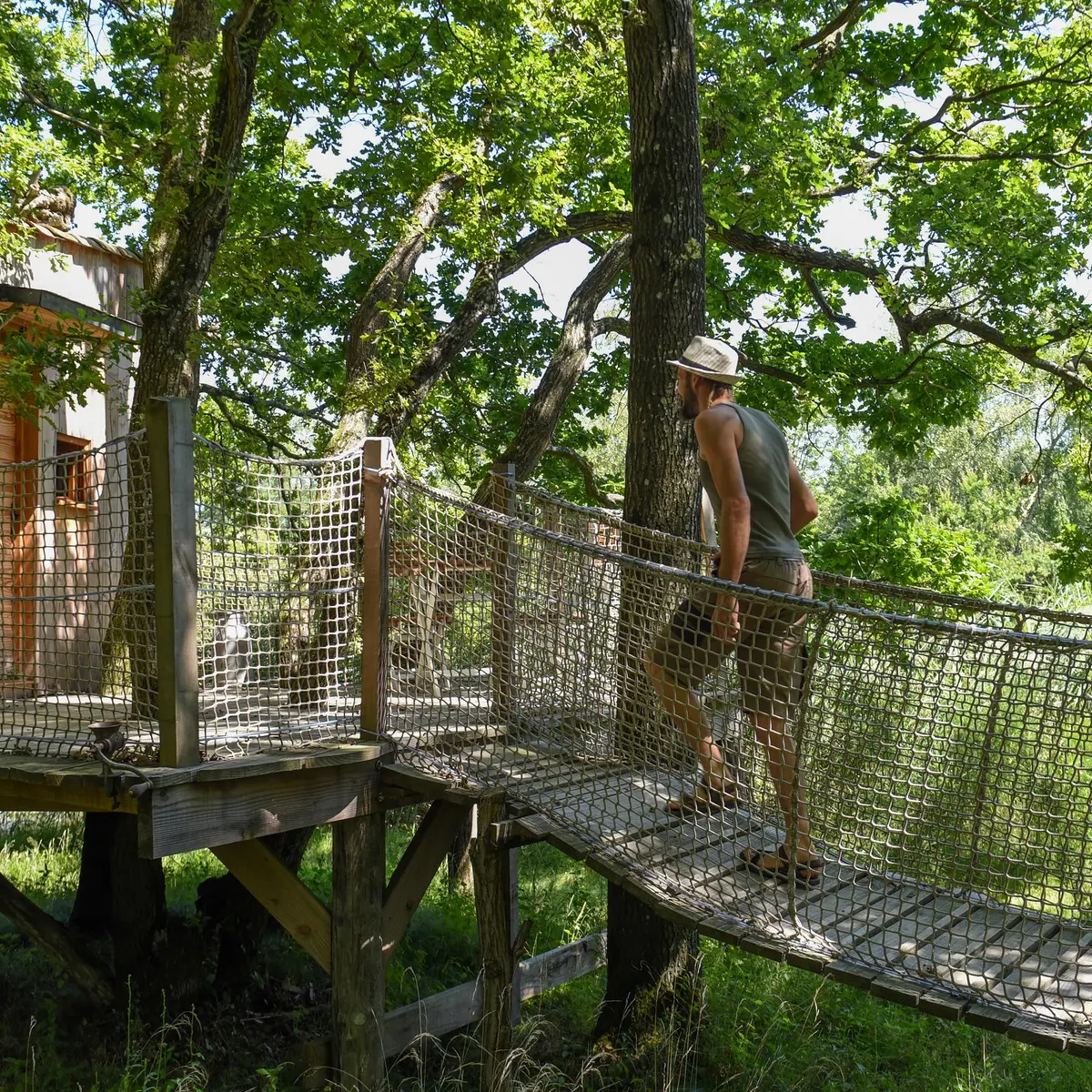 Cabane Home des bois1