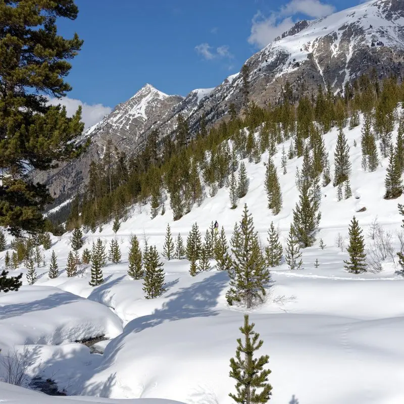 Rando Raquettes Laus - Izoard