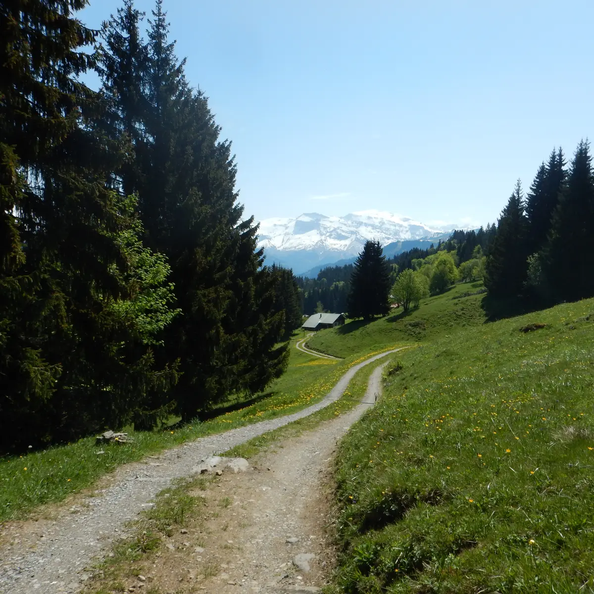 Plateau d'Agy