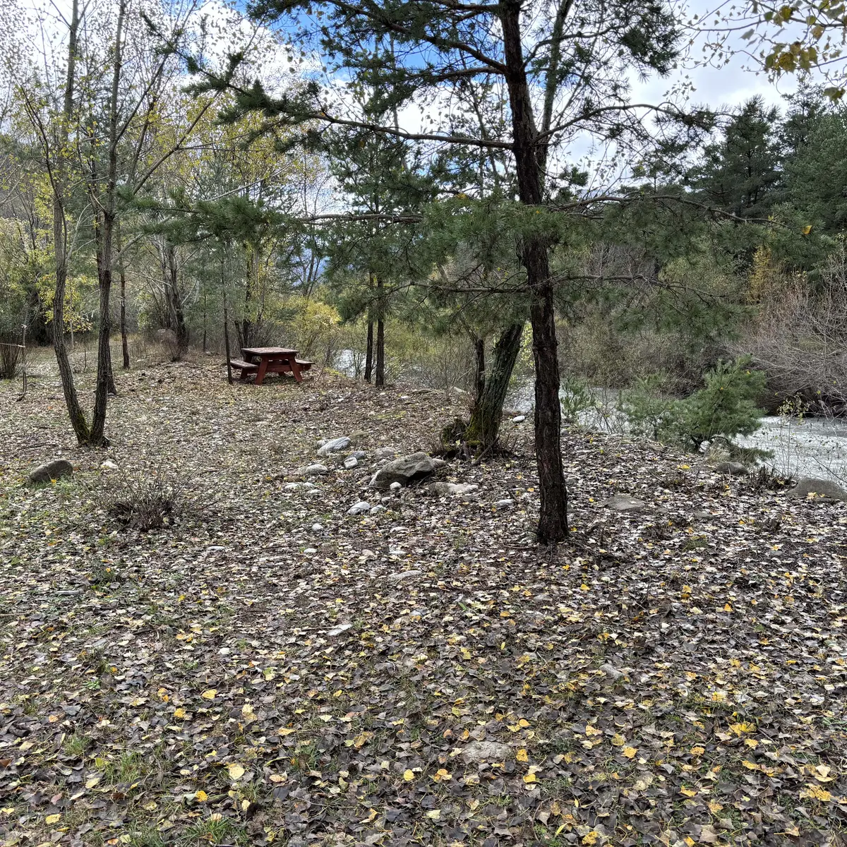 aire Pique-nique la Buissiere Colmars