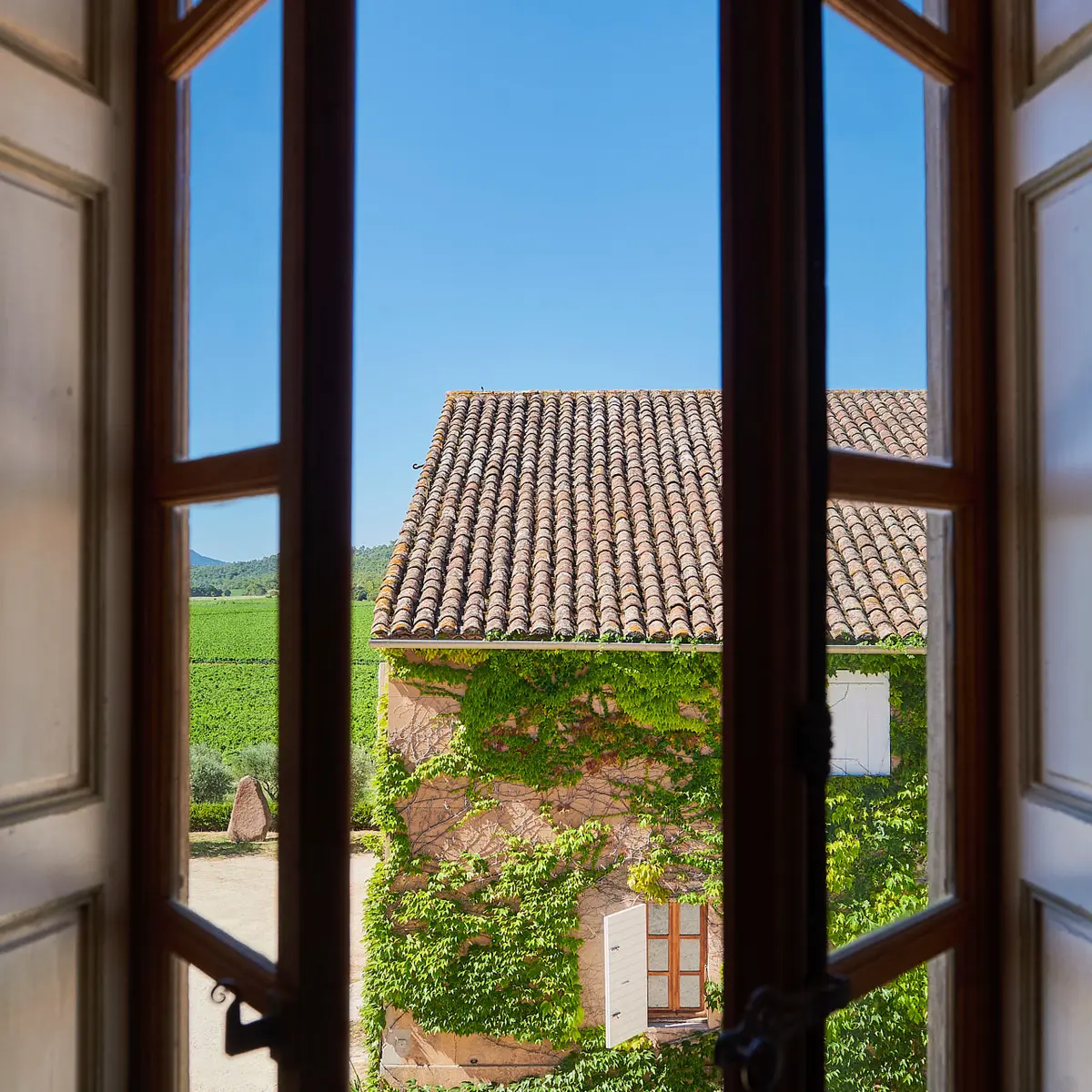 Château La Tour de l'Evêque à Pierrefeu du Var