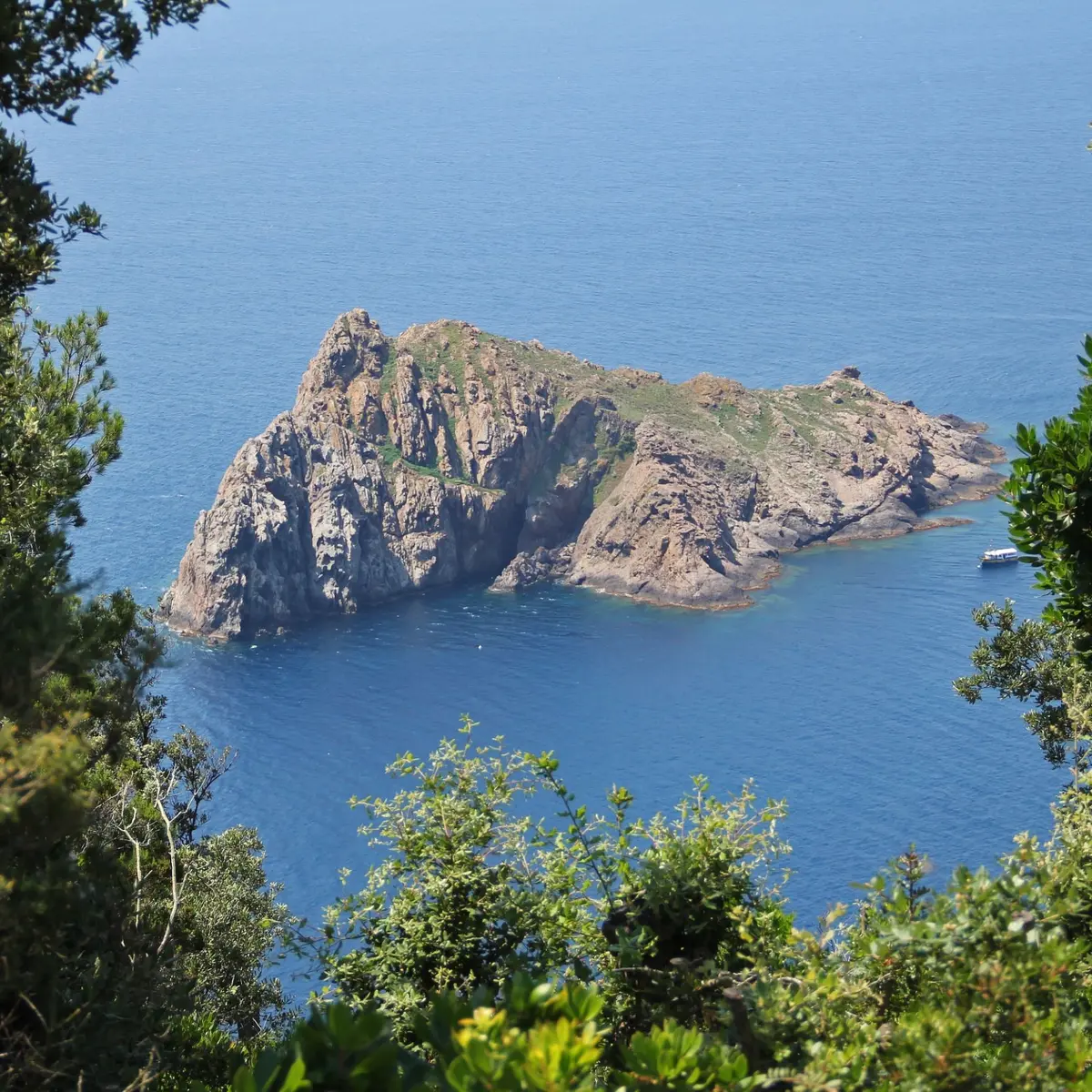 Vue sur l'ilot de la Gabinière