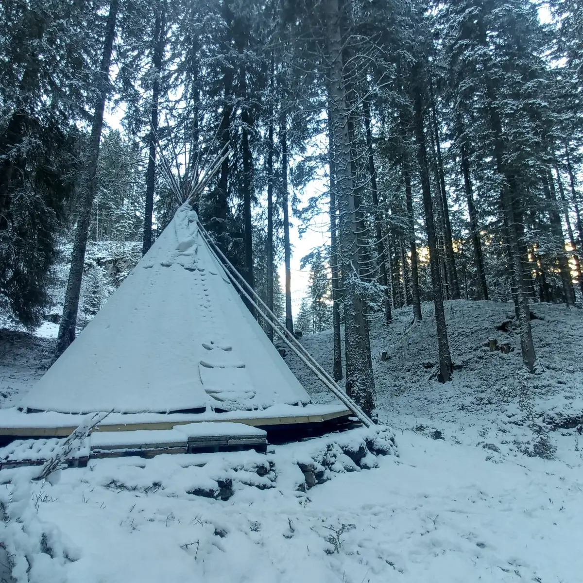 Sortie Tipi aventure, l'apéro des hiboux
