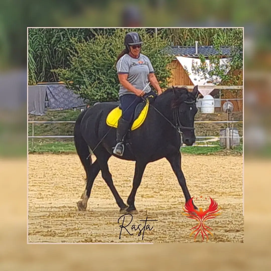 Respect de chaque étape de progression