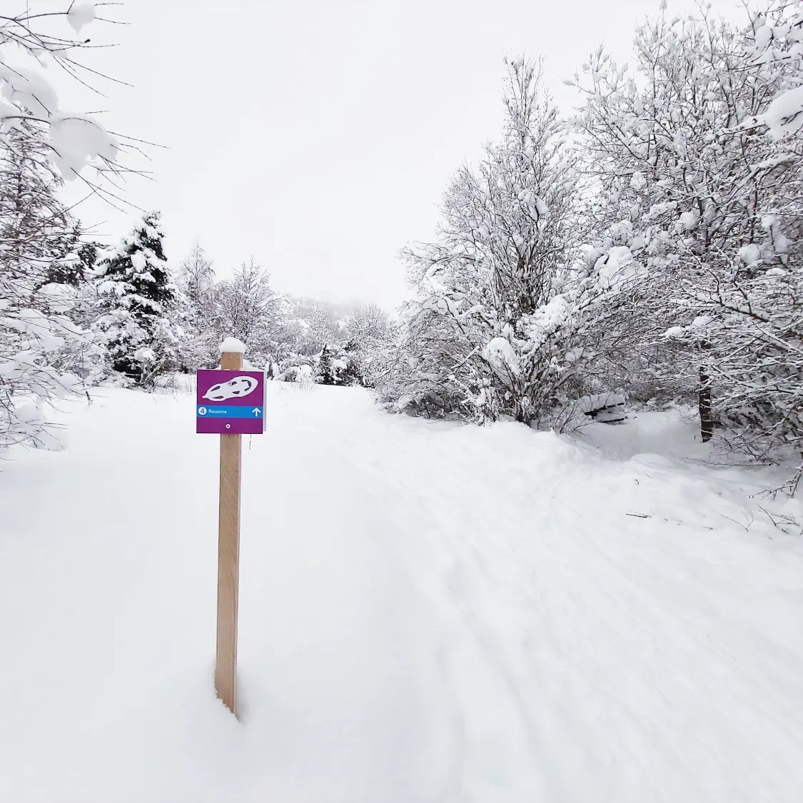 Raquettes Rouanne Haute