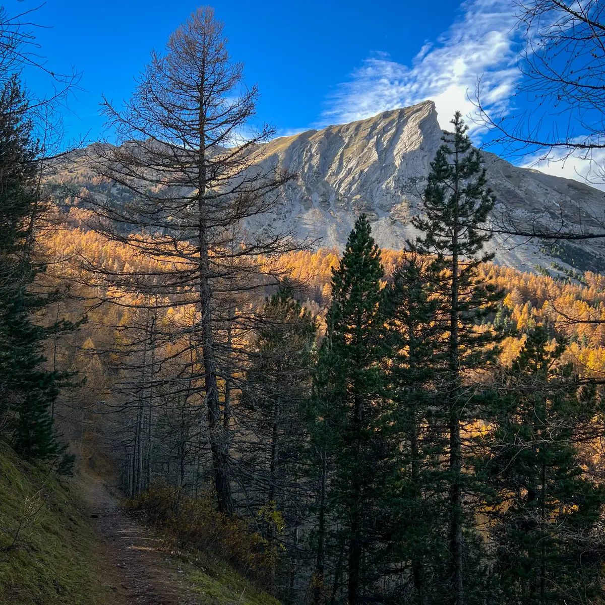 Sentier dans la station de Laye
