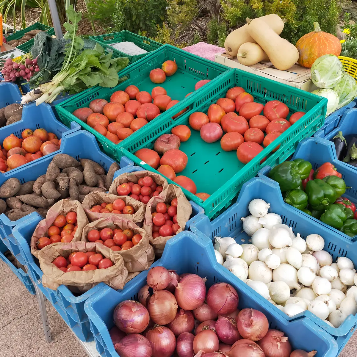 Etal marché