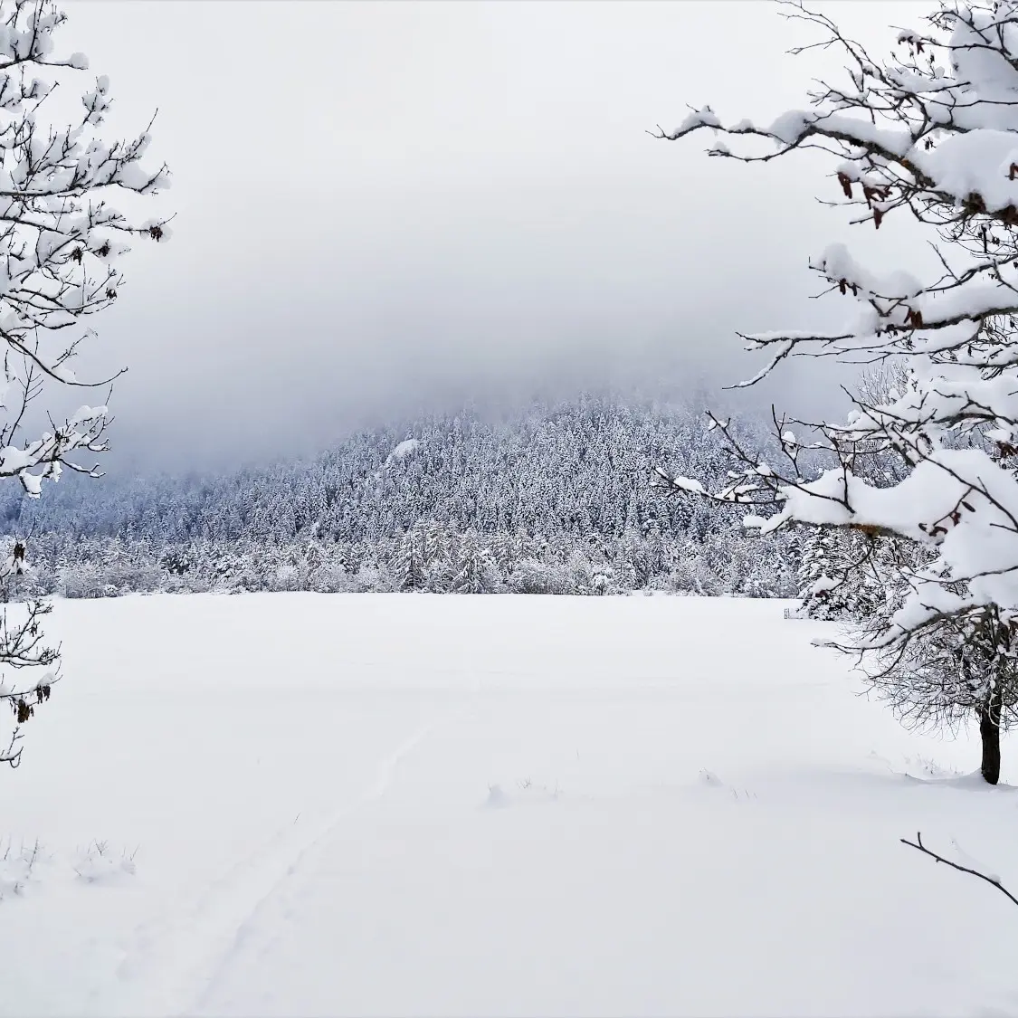 Raquettes Rouanne Haute