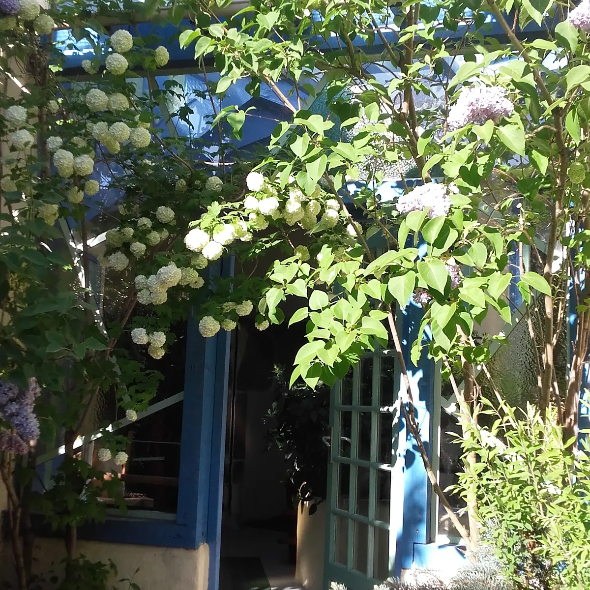 Le jardin
