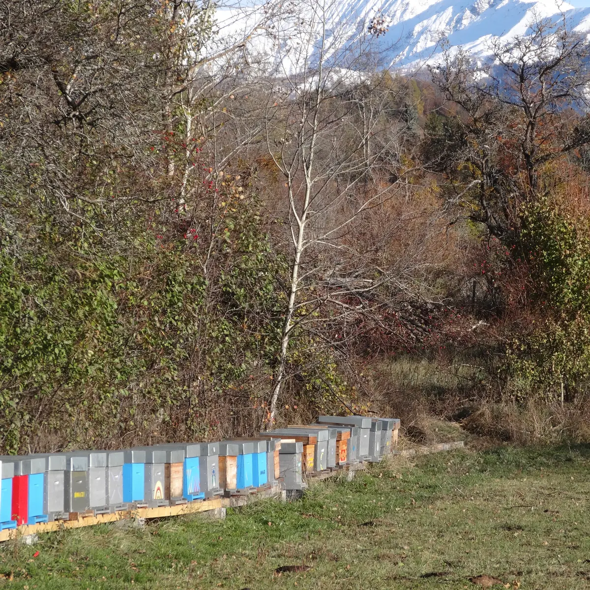 Miellerie de l'Oseraie