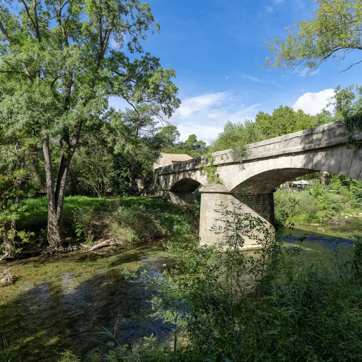 Berge de l'Argens_Correns