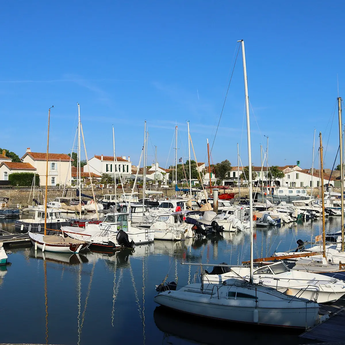les balades immersives