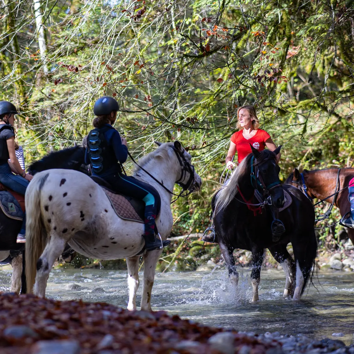 Randonnée gourmande à cheval_Chevaline