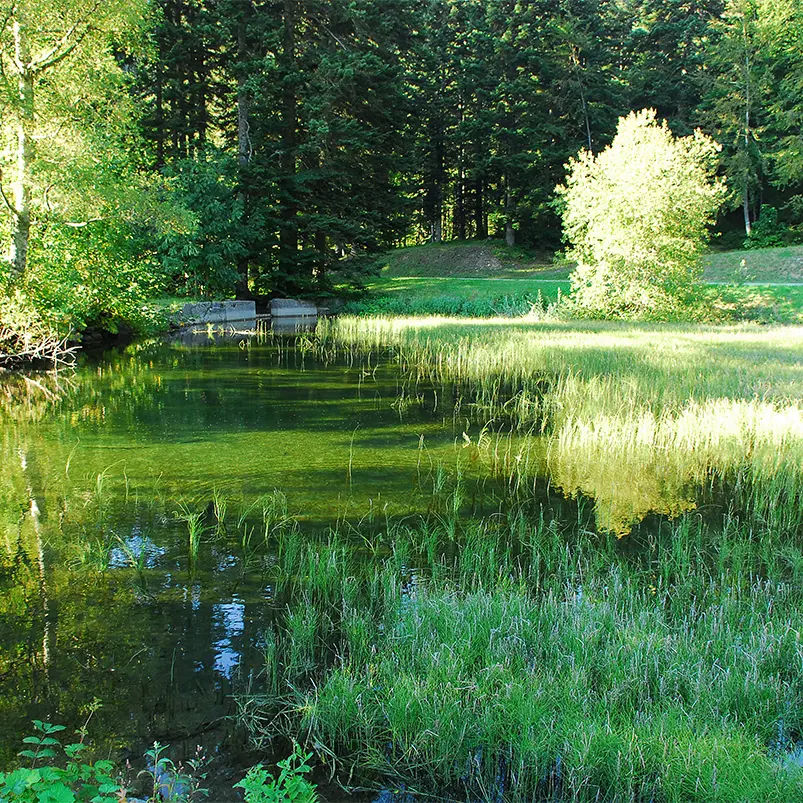 Chartreuse de Prémol
