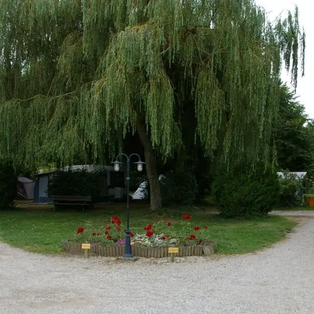 Camping Le Terroir
