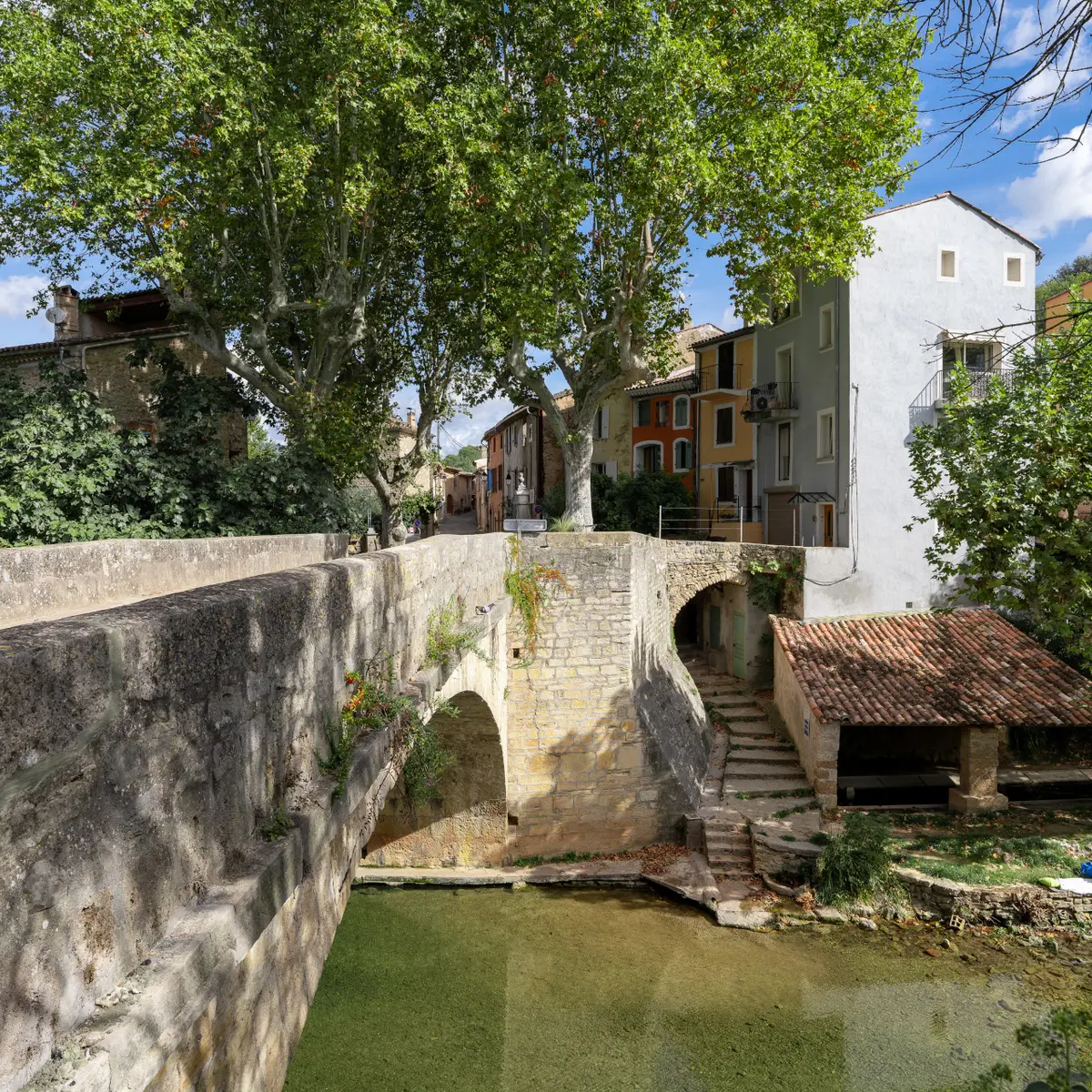 Berge de l'Argens_Correns
