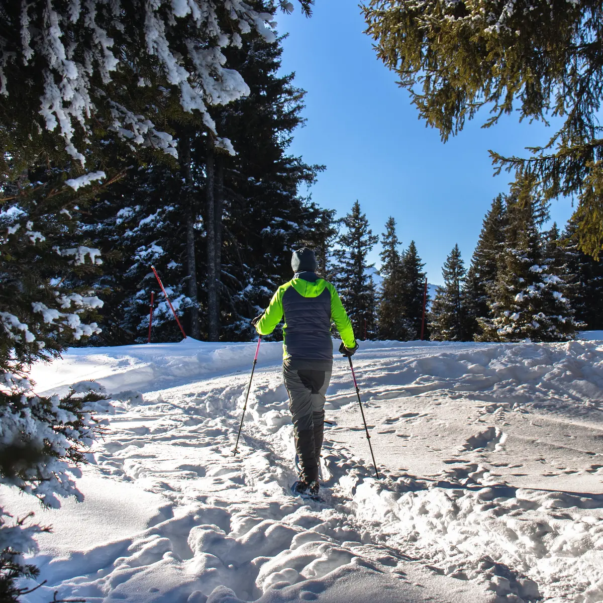 Sortie raquettes au Col de Pierre Carrée