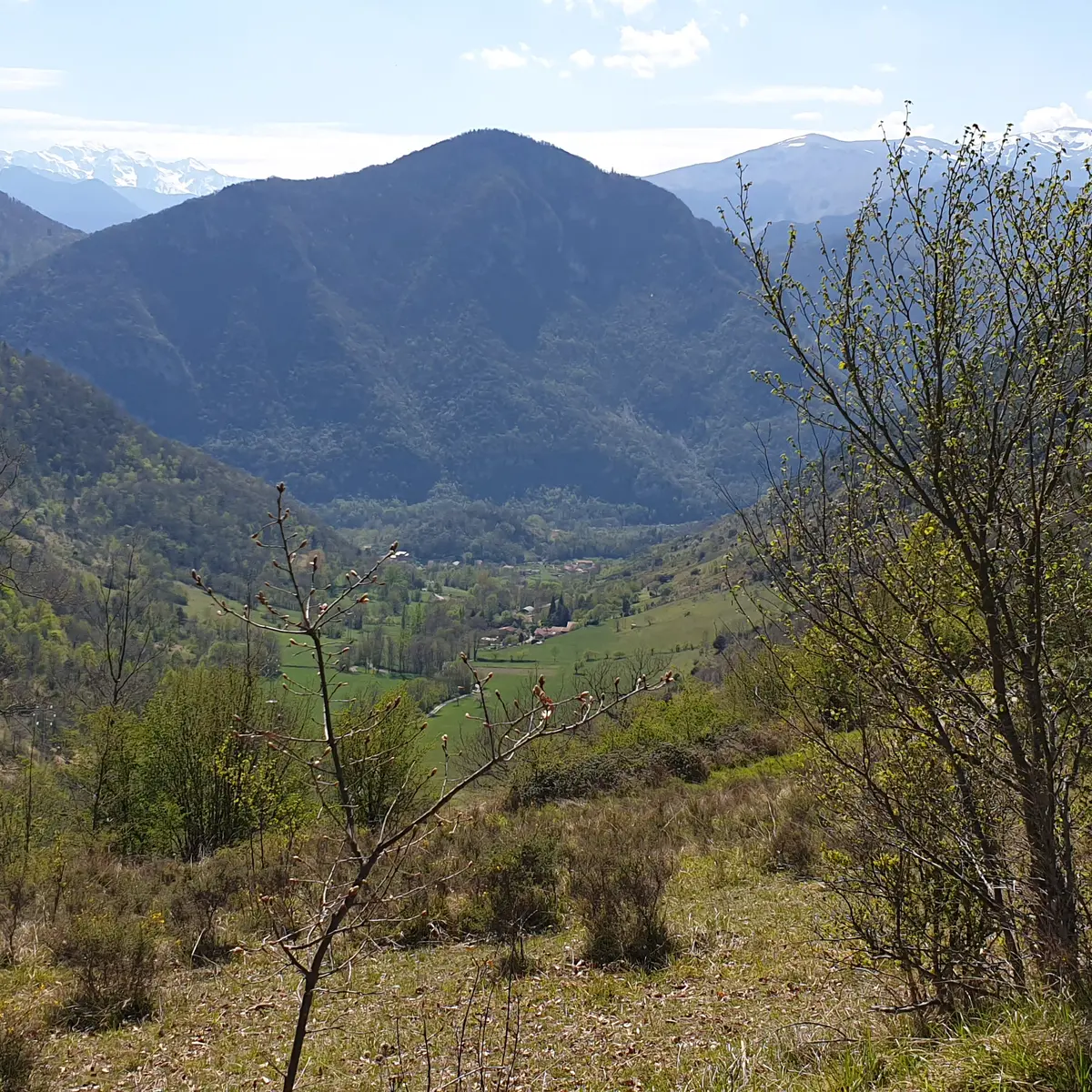 Vue sur les montagnes et village au loin