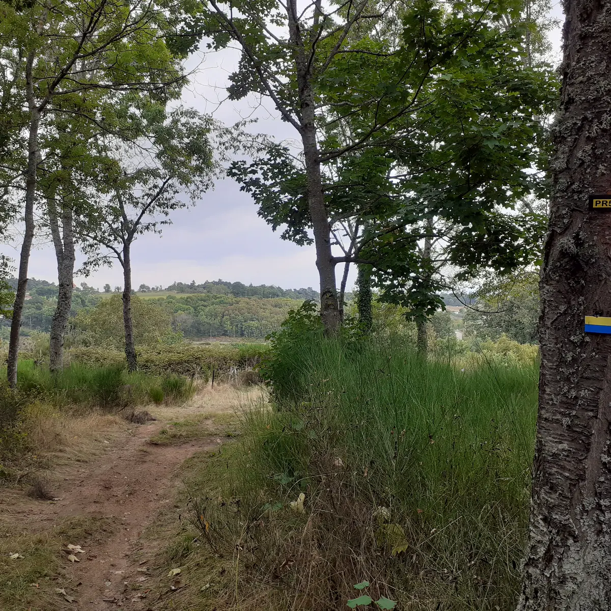 Verrières-en-Forez