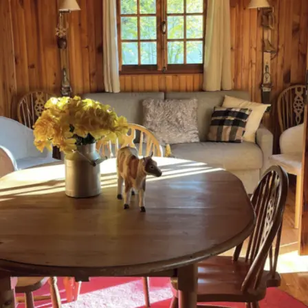 Wooden dining table with matching chairs. Living area with a sofa and comfortable armchairs