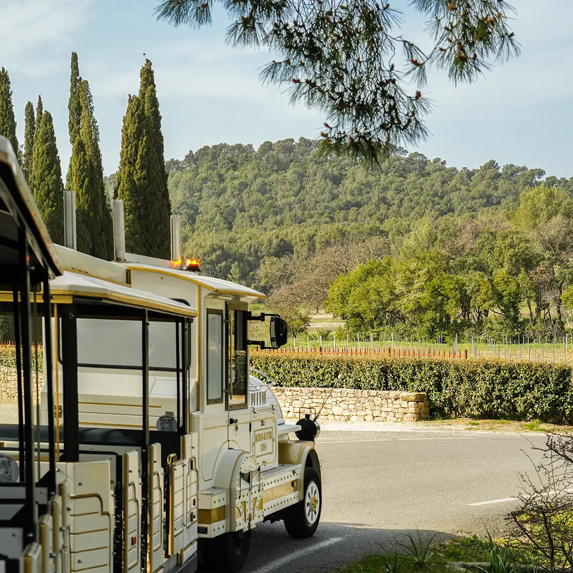 Petit train des vignes - Balade au cœur du terroir londais_La Londe-les-Maures