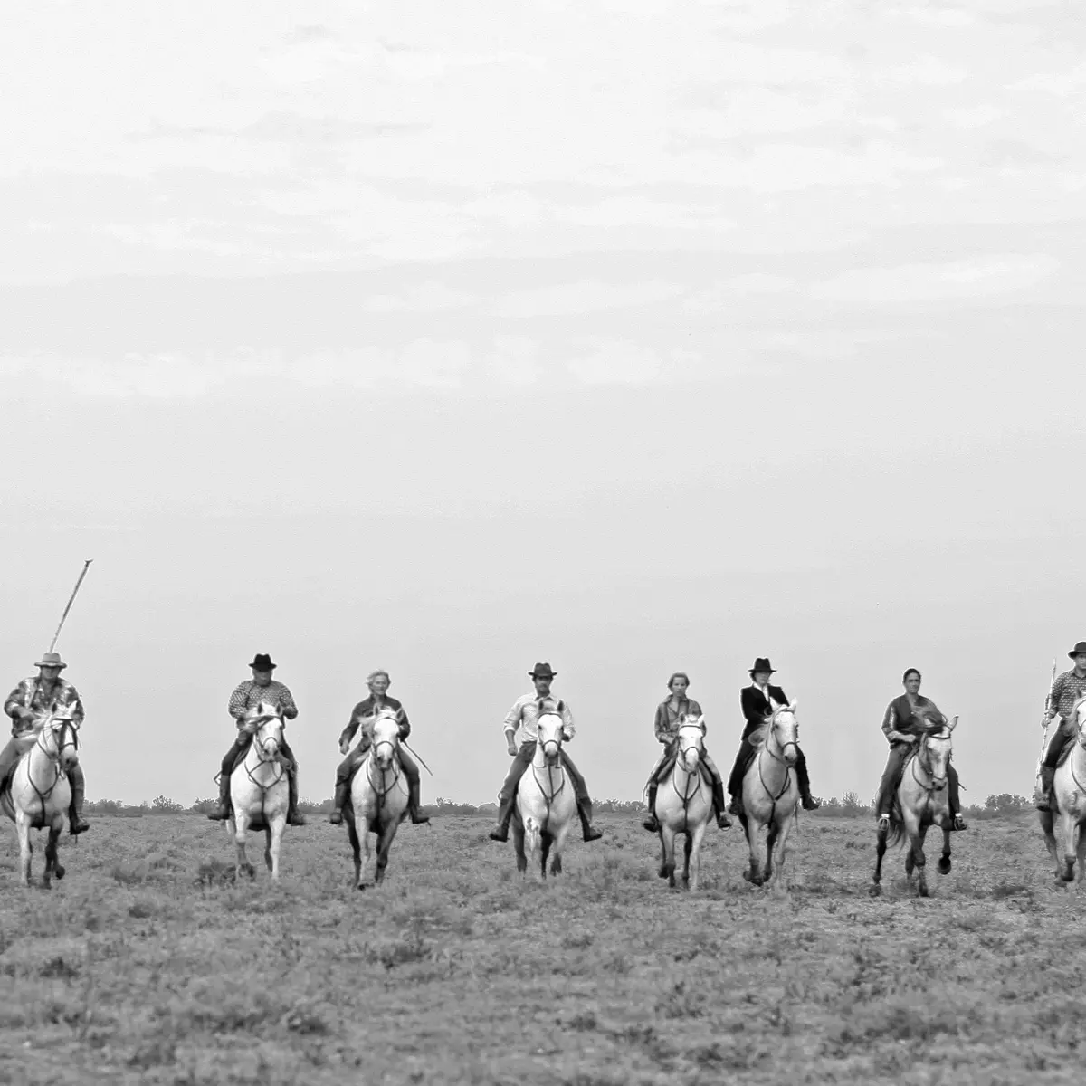 Gardians - Camargue