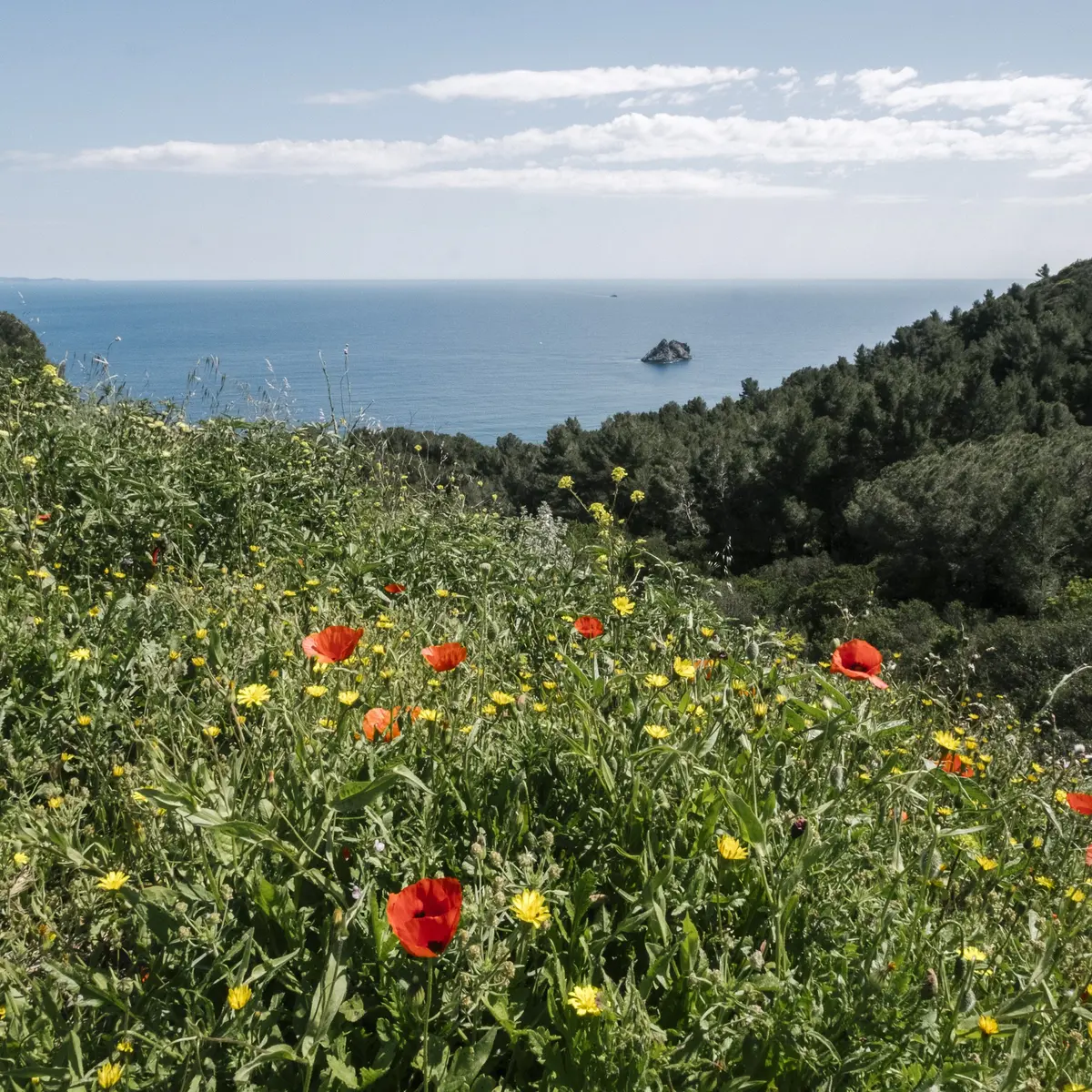 Cap Sicié Massif