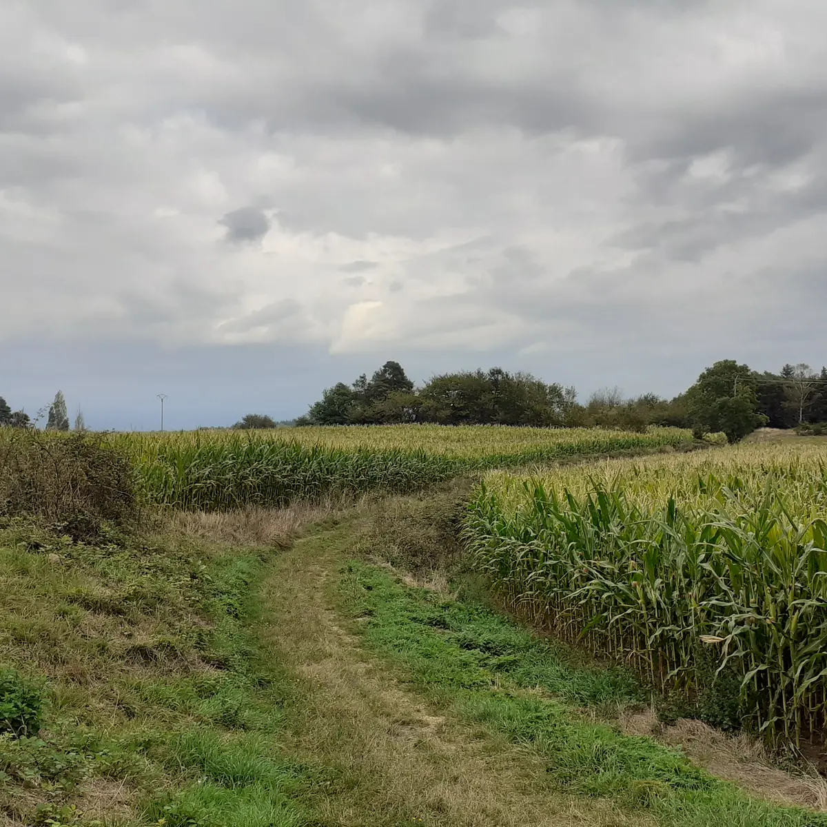 Verrières-en-Forez