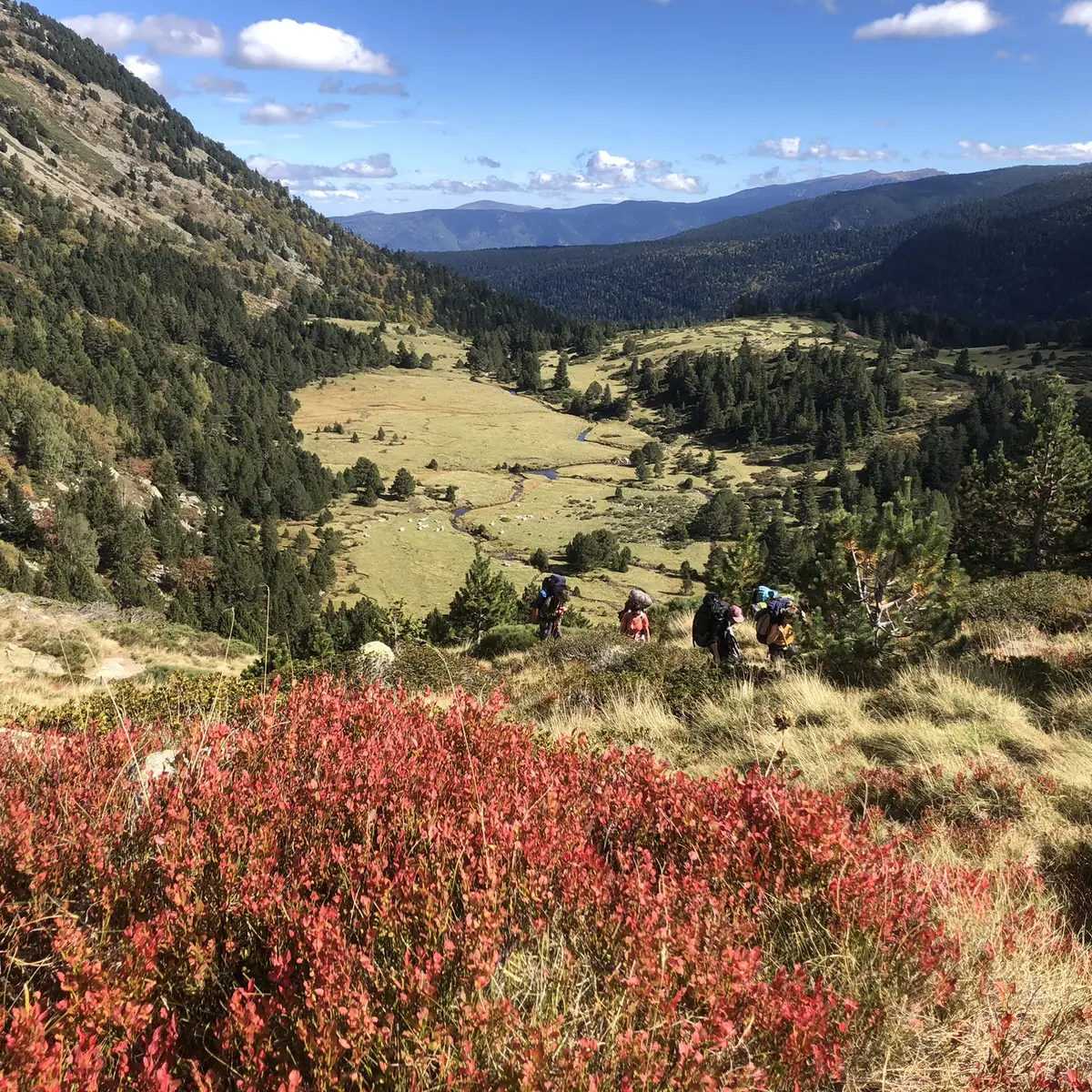 vers l'étang des Rabassoles-Donezan