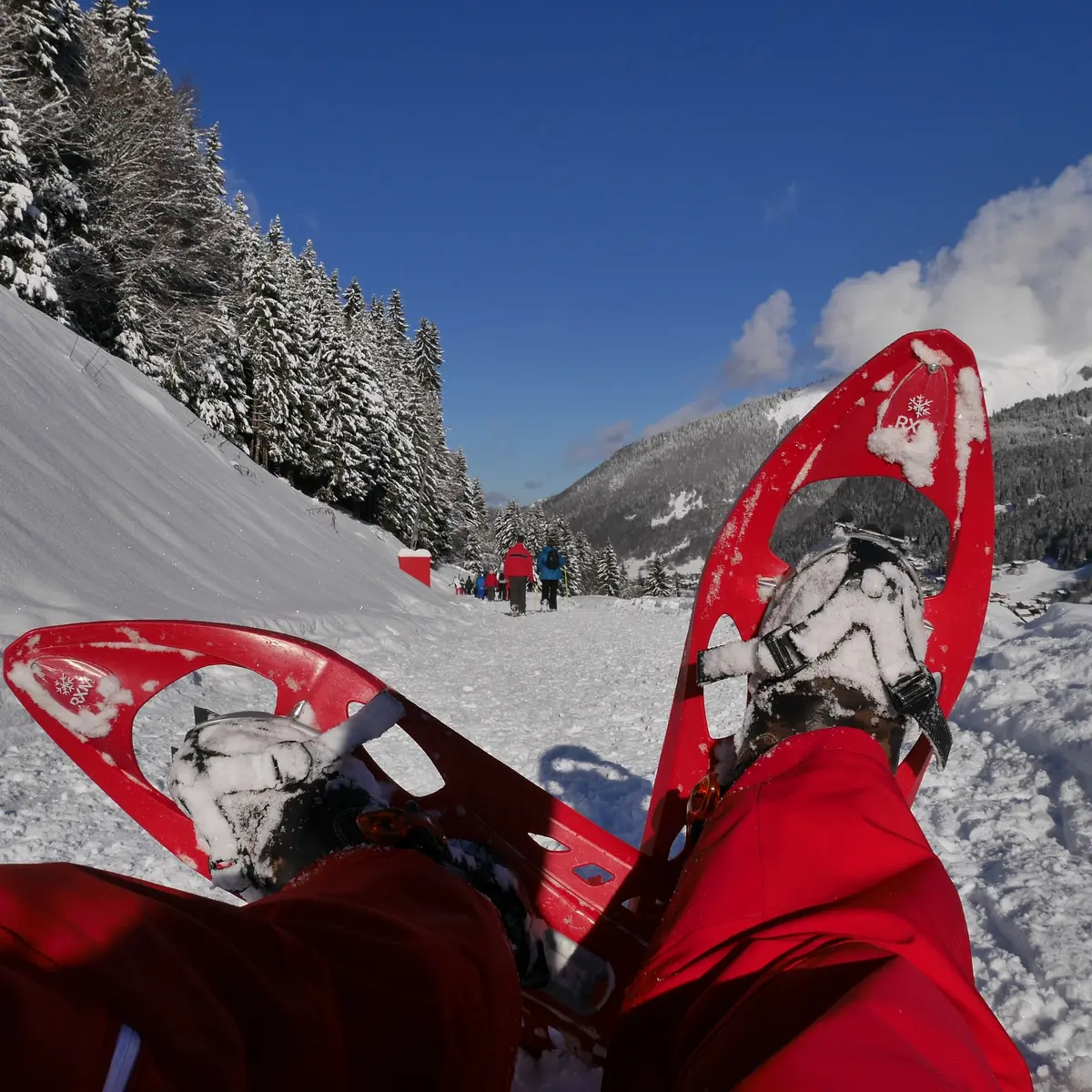 esf morzine