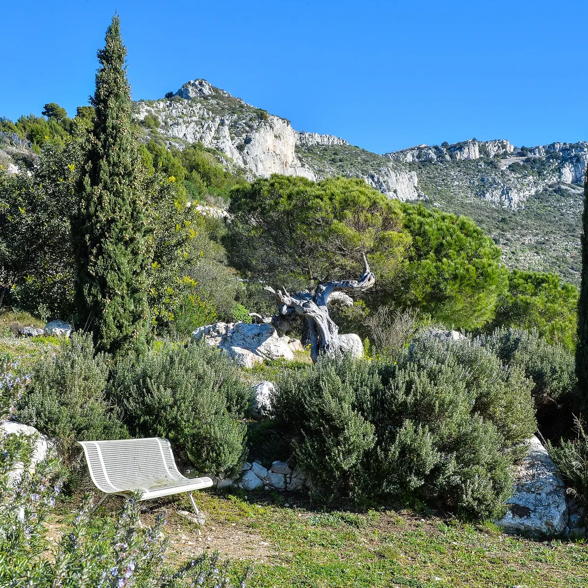 Sentiers Panoramiques