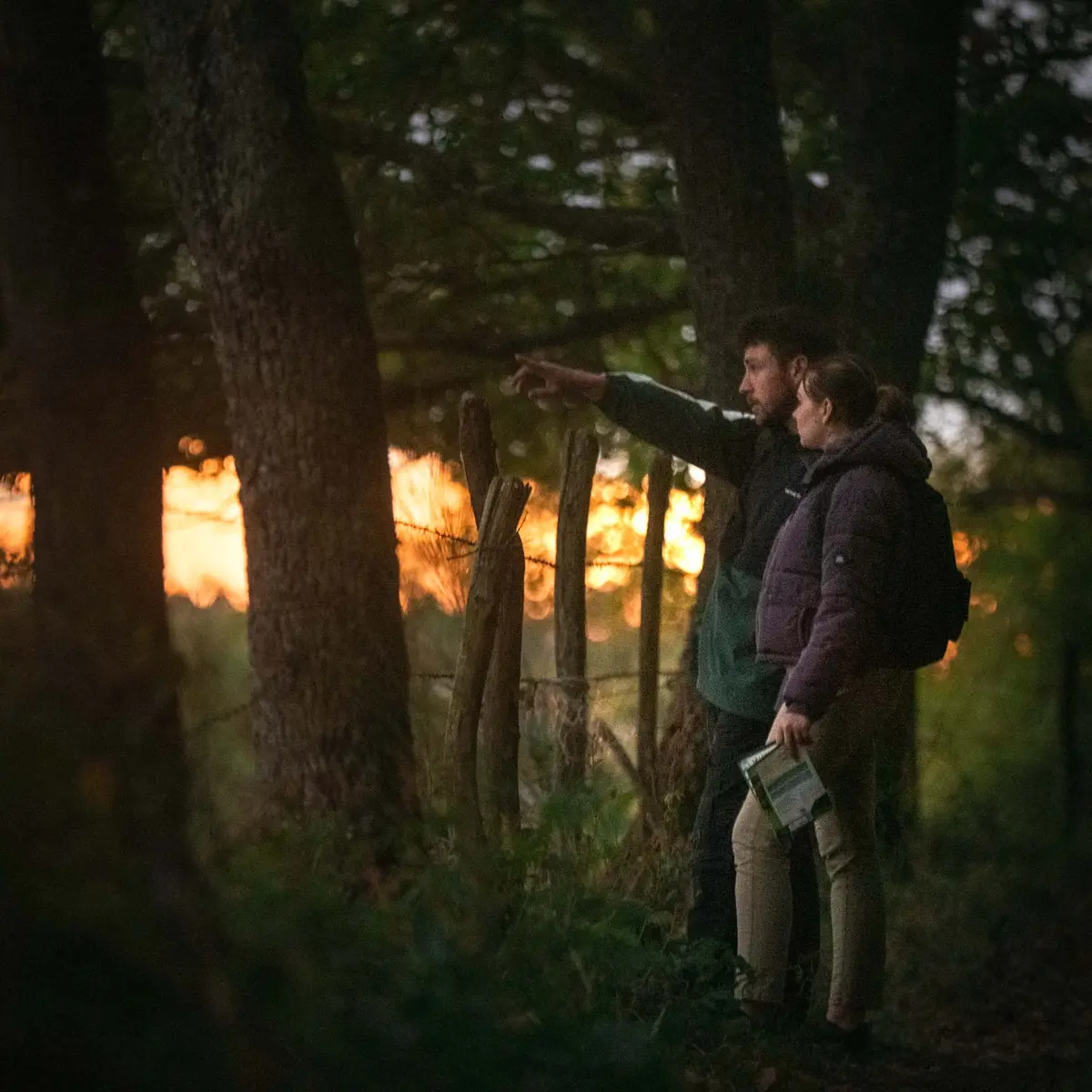 Course d'orientation