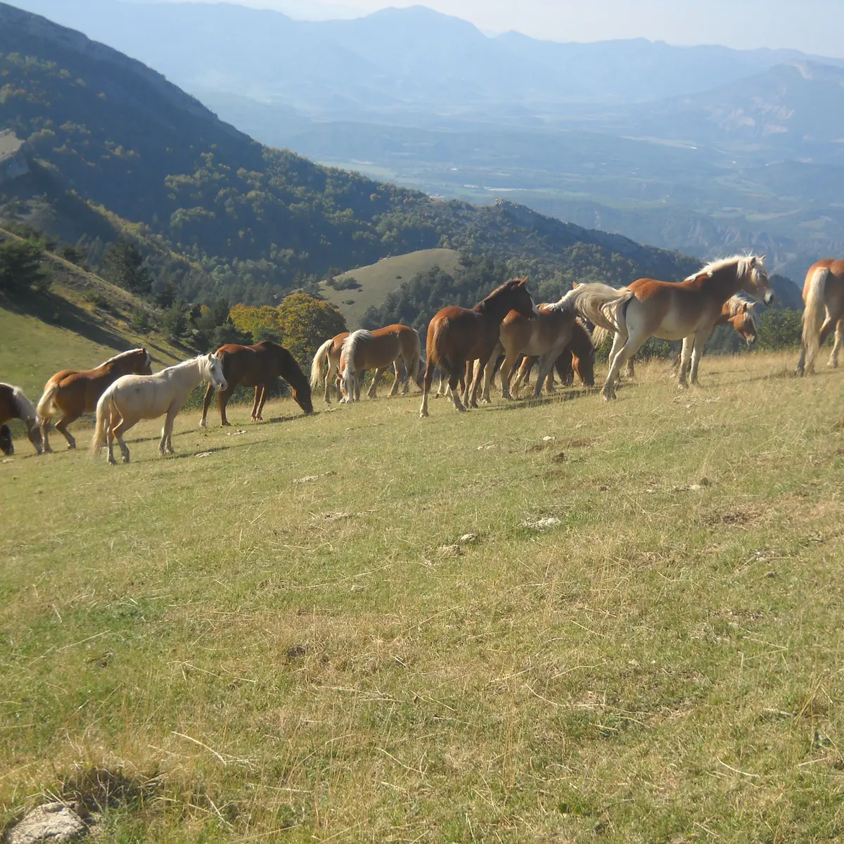 Le ptit gîte du Hameau de Villauret