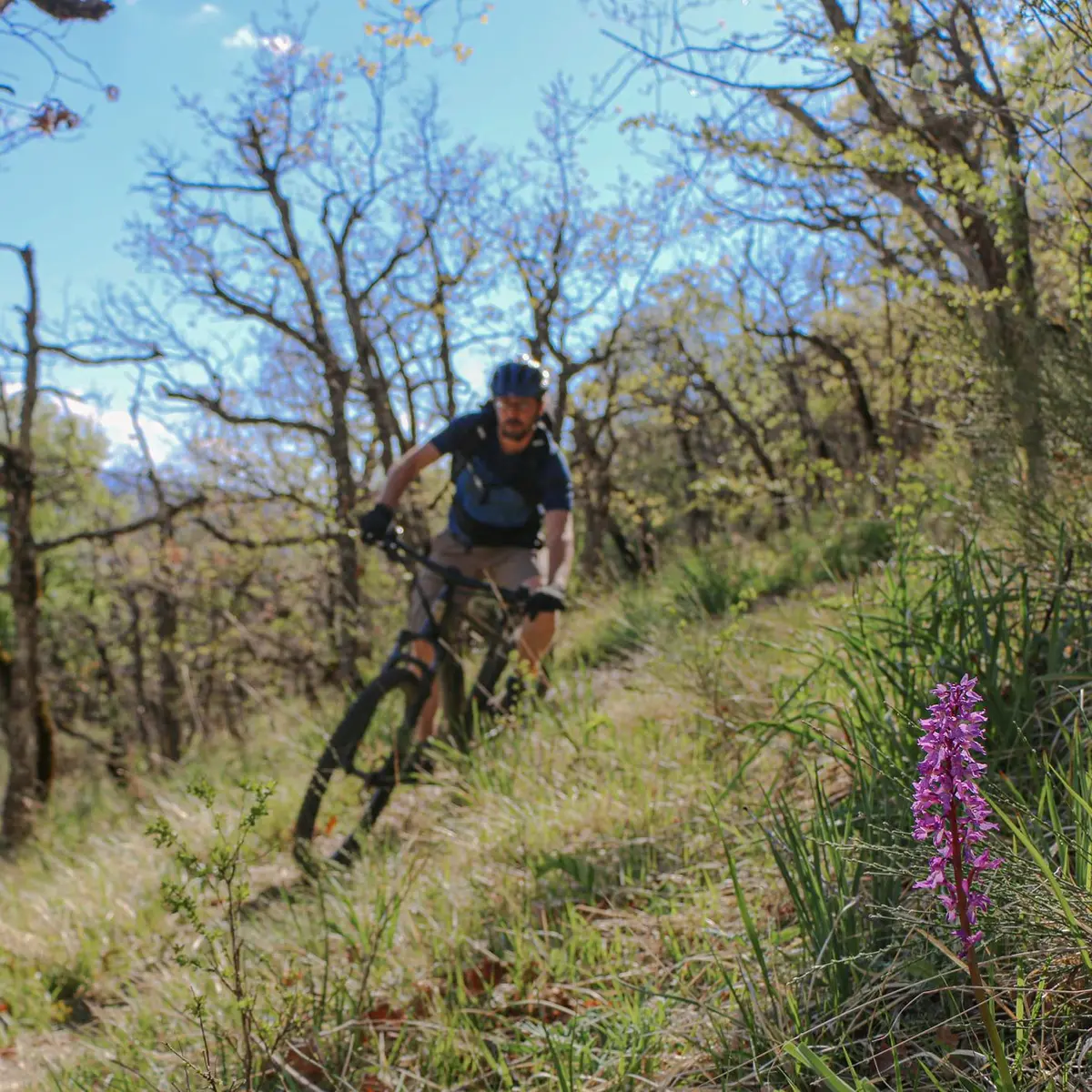 VTT Longeagne Marjaries