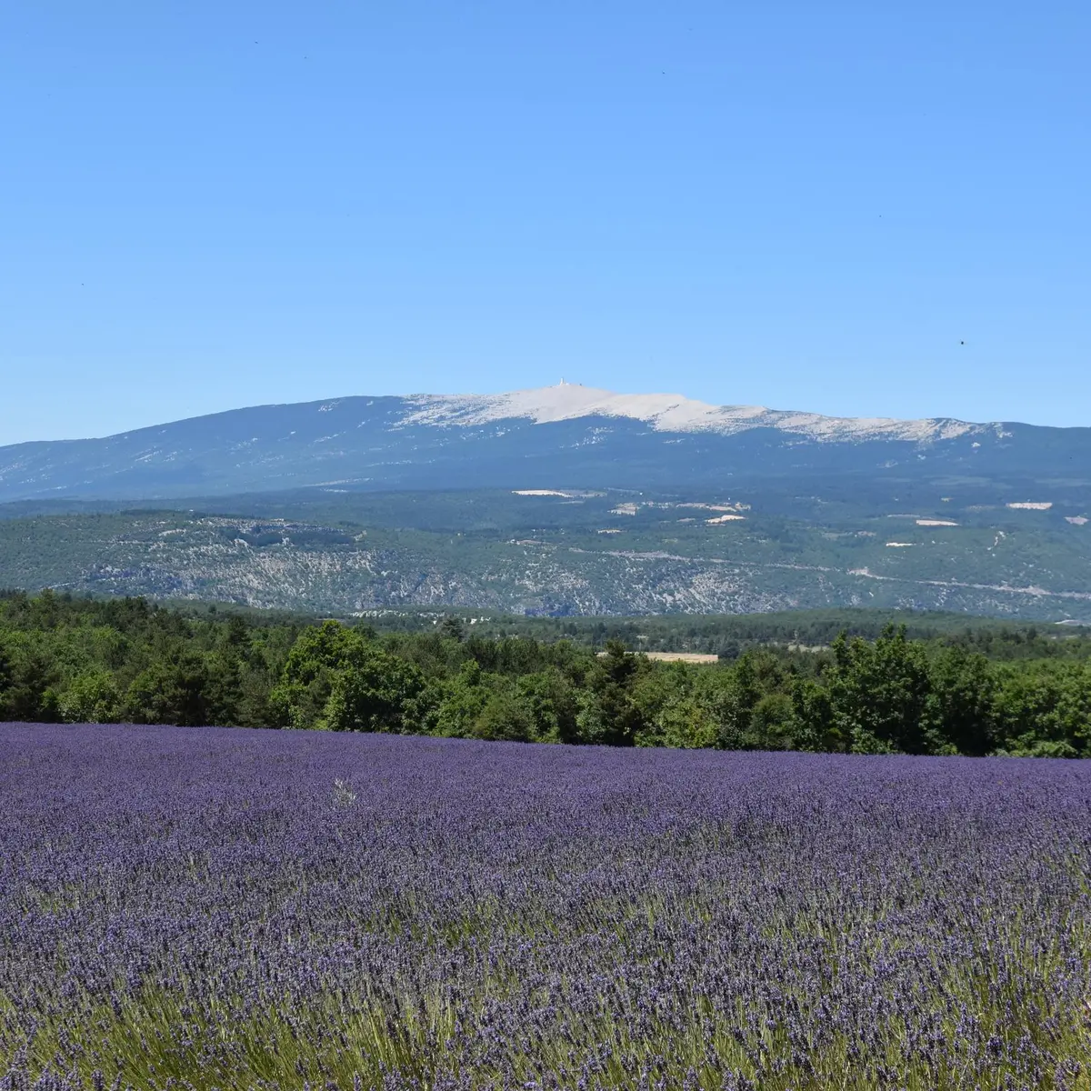 Vue Ventoux