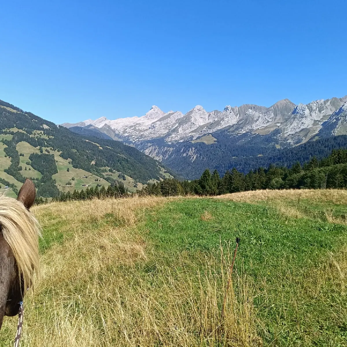 Balade à poney au Grand-Bornand
